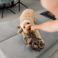 DISTRICT 70 SQUID žaislas šunims 13 x 20 cm., rusvas