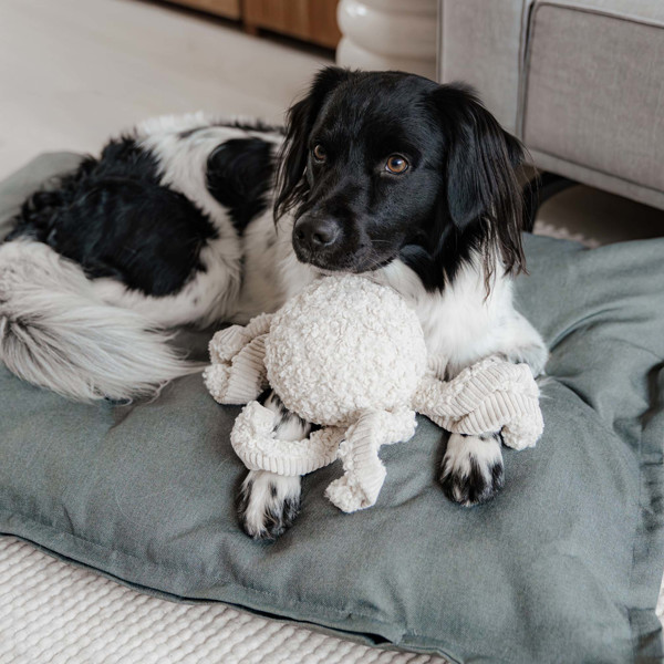 DISTRICT 70 SQUID žaislas šunims 13 x 20 cm., rausvas paveikslėlis