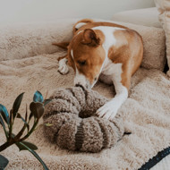 DISTRICT 70 DAISY užimtumo žaislas šunims 21 cm., rusvas