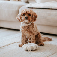 DISTRICT 70 DAISY užimtumo žaislas šunims 21 cm., balta