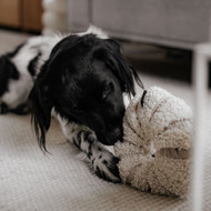 DISTRICT 70 DAISY užimtumo žaislas šunims 21 cm., balta