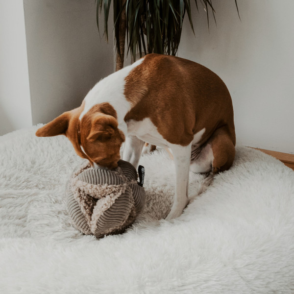 DISTRICT 70 BOBBY užimtumo žaislas - kamuolys šunims 13 cm., rusvas