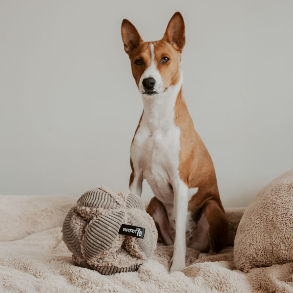 DISTRICT 70 BOBBY užimtumo žaislas - kamuolys šunims 13 cm., rausvas