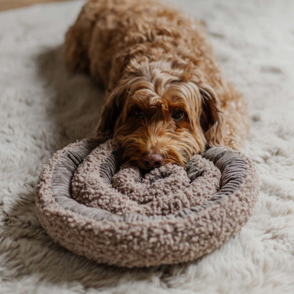 DISTRICT 70 SWIRL užimtumo kilimėlis šunims 34 cm , rusvas