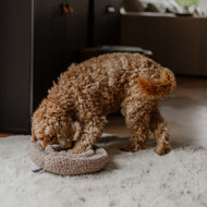 DISTRICT 70 SWIRL užimtumo kilimėlis šunims 34 cm , rusvas