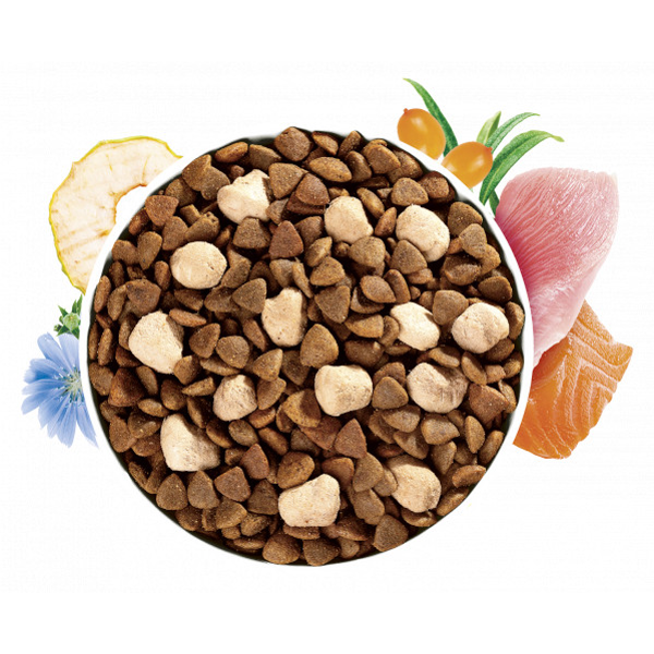 BRIT CARE Cat Haircare with Raw Delights sausas pašaras katėms, 2kg