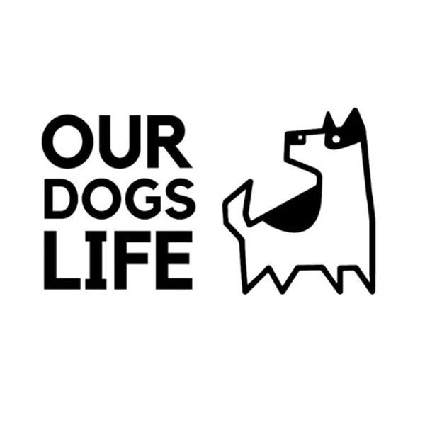 Akc. OURDOGSLIFE magnetinės šunų petnešos + 2 m pavadėlis (komplektas), XS, rožinė