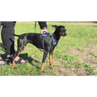 OURDOGSLIFE magnetinės šunų petnešos + 2 m pavadėlis (komplektas), S, mėlyna