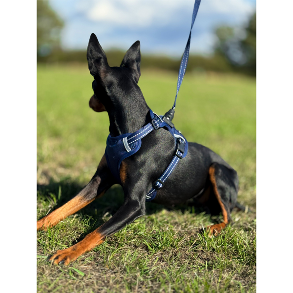 OURDOGSLIFE magnetinės šunų petnešos + 2 m pavadėlis (komplektas), S, mėlyna