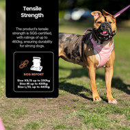 OURDOGSLIFE magnetinės šunų petnešos + 2 m pavadėlis (komplektas), S, mėlyna