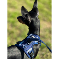 OURDOGSLIFE magnetinės šunų petnešos + 2 m pavadėlis (komplektas), M, mėlyna