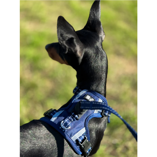 OURDOGSLIFE magnetinės šunų petnešos + 2 m pavadėlis (komplektas), L, mėlyna