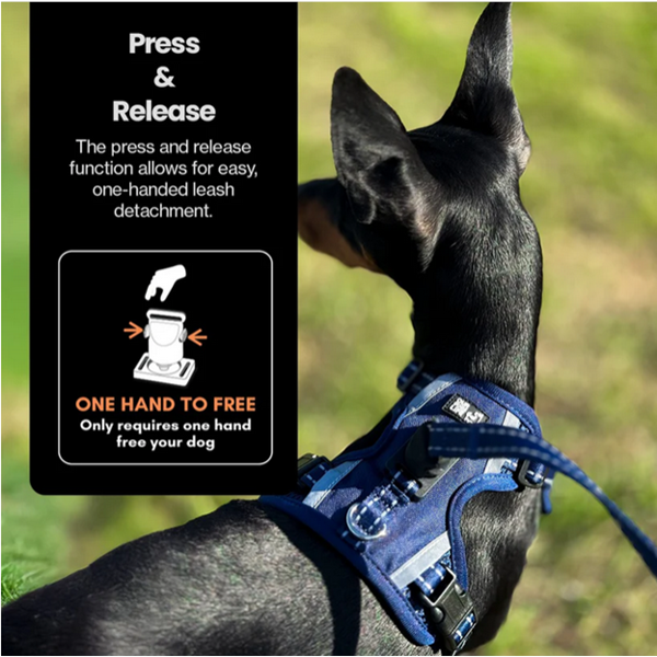 OURDOGSLIFE magnetinės šunų petnešos + 2 m pavadėlis (komplektas), L, mėlyna