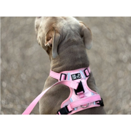 OURDOGSLIFE magnetinės šunų petnešos + 2 m pavadėlis (komplektas), XS, rožinė