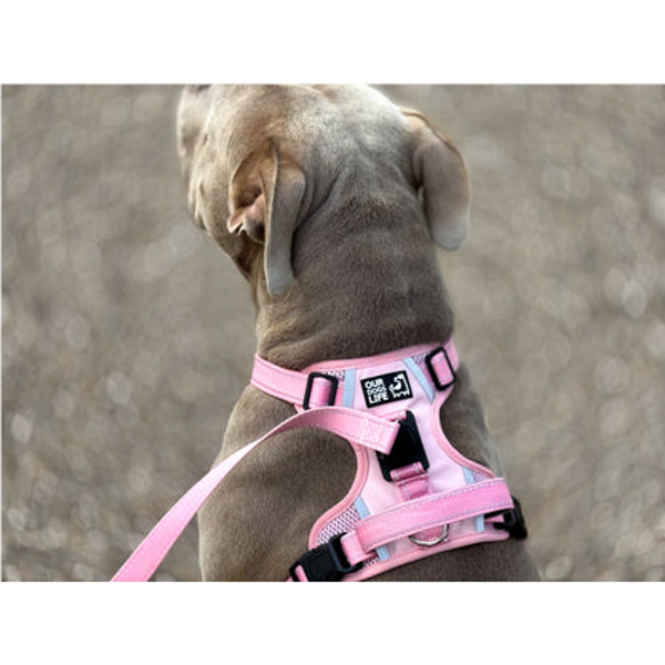 OURDOGSLIFE magnetinės šunų petnešos + 2 m pavadėlis (komplektas), XS, rožinė