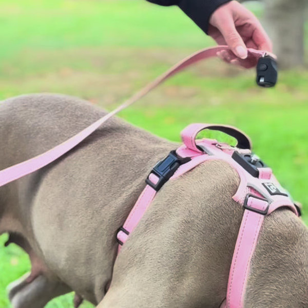 OURDOGSLIFE magnetinės šunų petnešos + 2 m pavadėlis (komplektas), S, rožinė