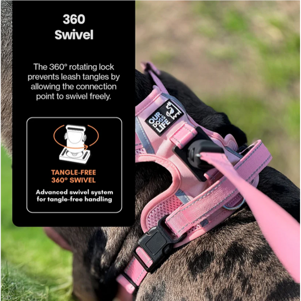 OURDOGSLIFE magnetinės šunų petnešos + 2 m pavadėlis (komplektas), S, juoda