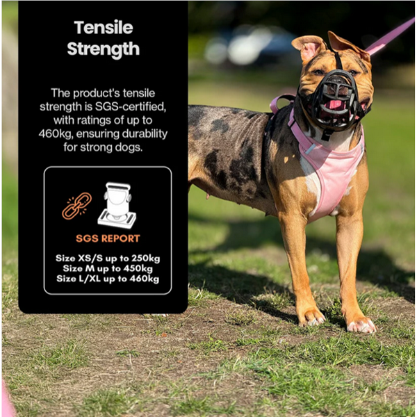 OURDOGSLIFE magnetinės šunų petnešos + 2 m pavadėlis (komplektas), L, juoda