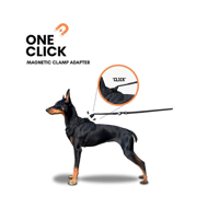 OURDOGSLIFE magnetinės šunų petnešos + 2 m pavadėlis (komplektas), XL, juoda