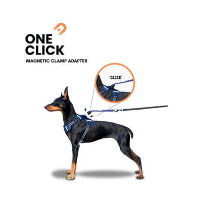 OURDOGSLIFE magnetinės šunų petnešos + 2 m pavadėlis (komplektas), M, mėlyna