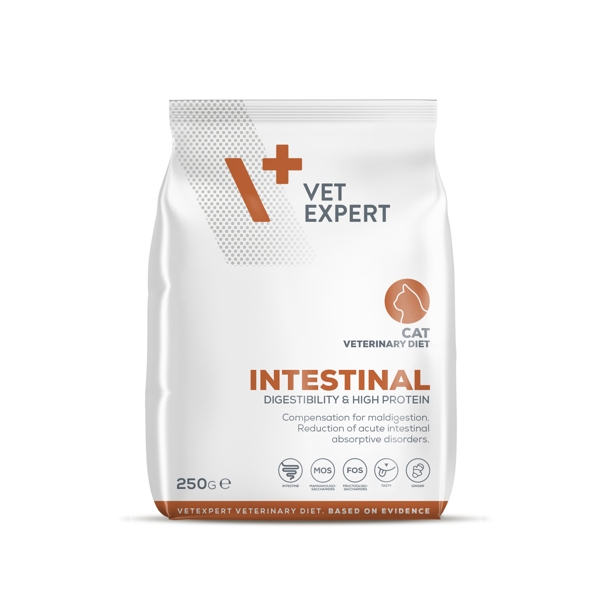 VETEXPERT Veterinary Diet Intestinal dietinis sausas pašaras katėms, 250 g