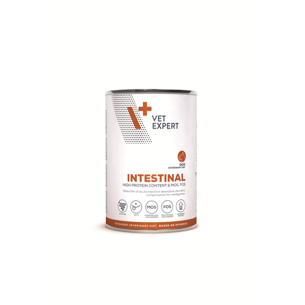 VETEXPERT Veterinary Diet Intestinal dietinis pašaras šunims, 400 g