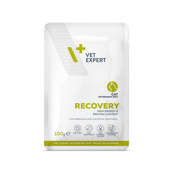 VETEXPERT Veterinary Diet Recovery dietinis pašaras katėms, 100g 