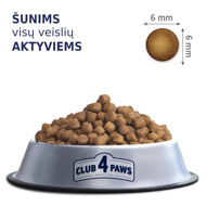 CLUB 4 PAWS Premium Active visavertis pašaras suaugusiems aktyviems visų veislių šunims, 14 kg
