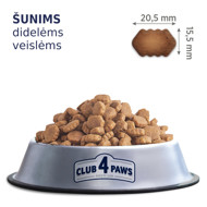 CLUB 4 PAWS Premium visavertis pašaras suaugusiems didelių veislių šunims, 14 kg