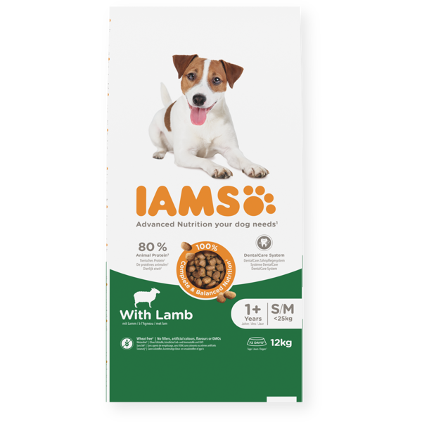 IAMS sausas maistas mažų ir vidutinių veislių šunims su ėriena, 12 kg