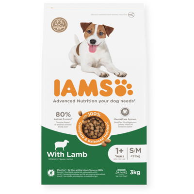 IAMS sausas maistas mažų ir vidutinių veislių šunims su ėriena, 3 kg