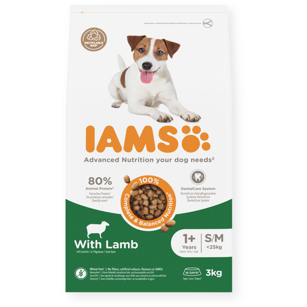 IAMS sausas maistas mažų ir vidutinių veislių šunims su ėriena, 3 kg