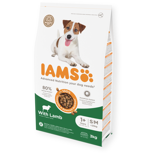 IAMS sausas maistas mažų ir vidutinių veislių šunims su ėriena, 3 kg