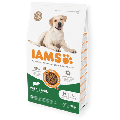IAMS sausas maistas didelių veislių šunims su ėriena, 3 kg