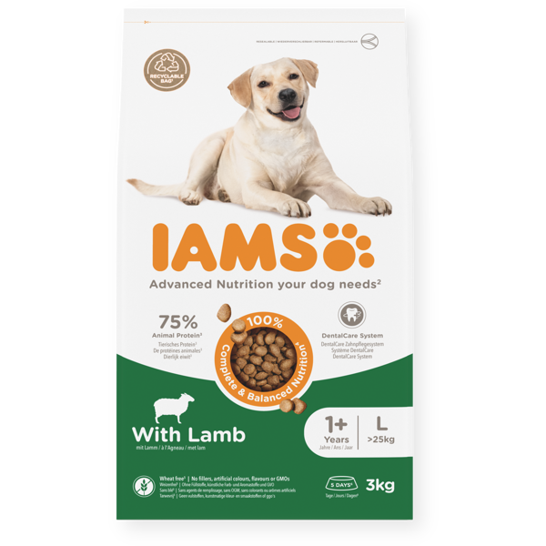 IAMS sausas maistas didelių veislių šunims su ėriena, 3 kg