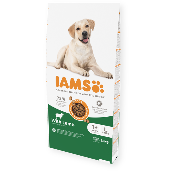 IAMS sausas maistas didelių veislių suaugusiems šunims su ėriena, L, 12 kg