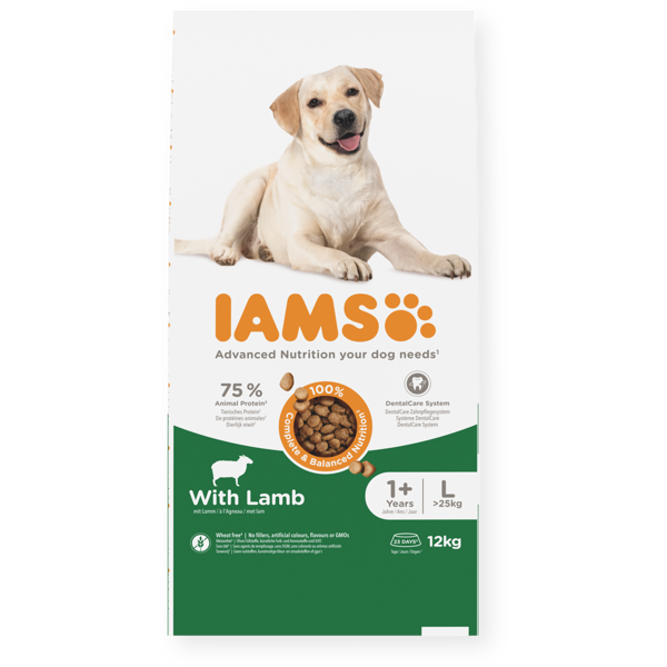 IAMS sausas maistas didelių veislių suaugusiems šunims su ėriena, L, 12 kg
