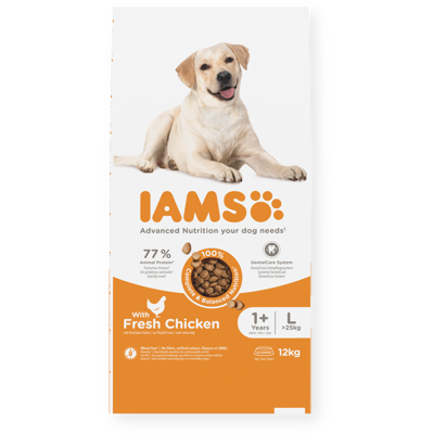  IAMS sausas maistas didelių veislių šunims su vištiena, L, 12 kg