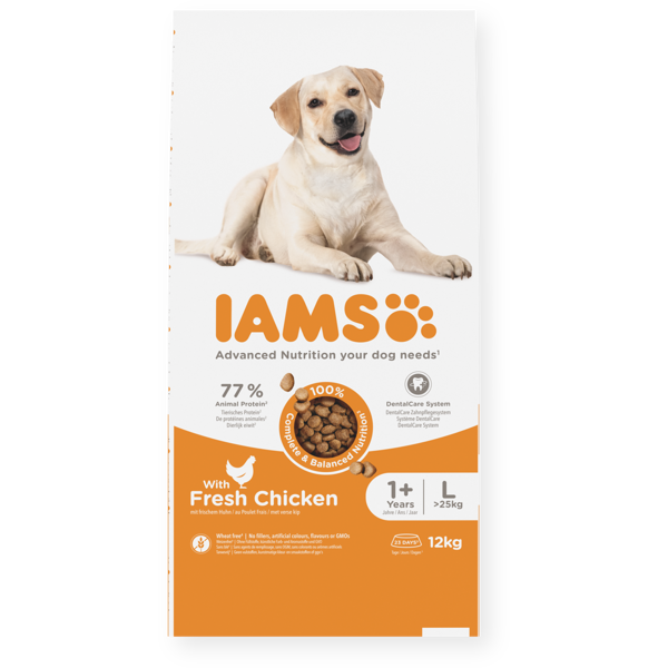  IAMS sausas maistas didelių veislių šunims su vištiena, L, 12 kg