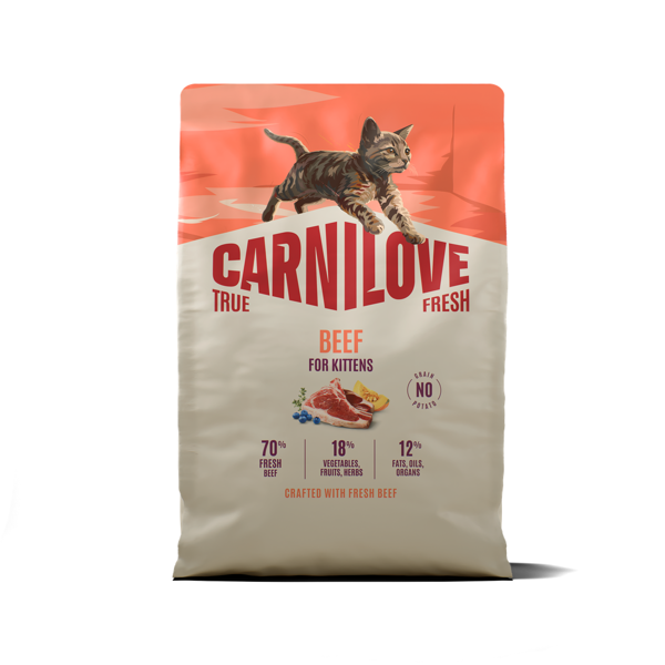 CARNILOVE True Fresh Beef Kitten sausas pašaras kačiukams su jautiena, 2 kg
