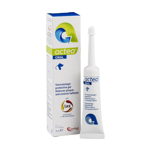 CANDIOLI Actea Oral stomatologinis gelis šunims ir katėms, 15 ml
