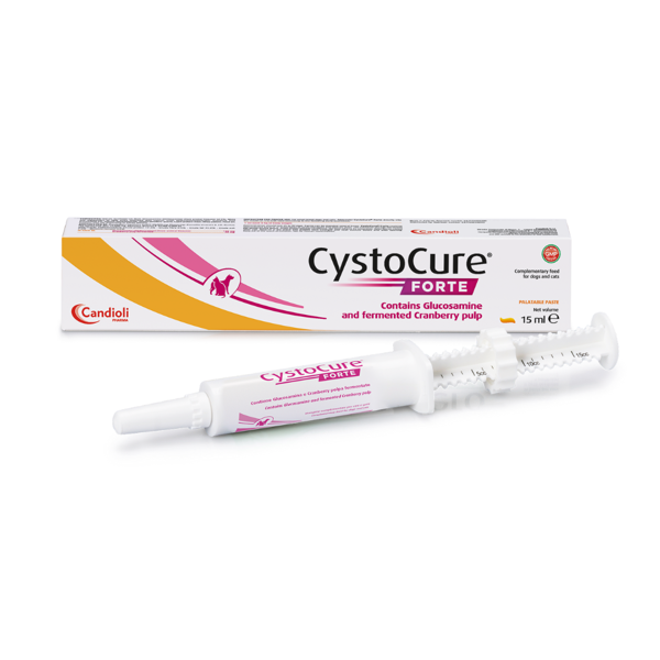 CANDIOLI Cystocure Forte pasta, šunims ir katėms, 15 ml