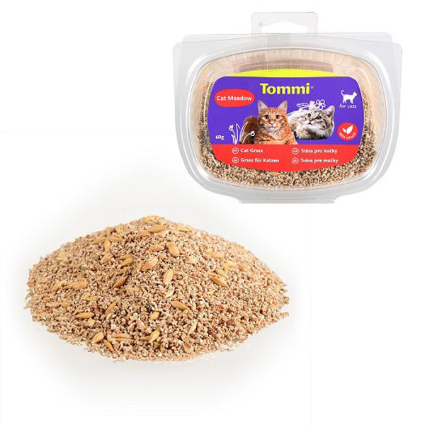 TOMMI Žolė katėms, 60 g