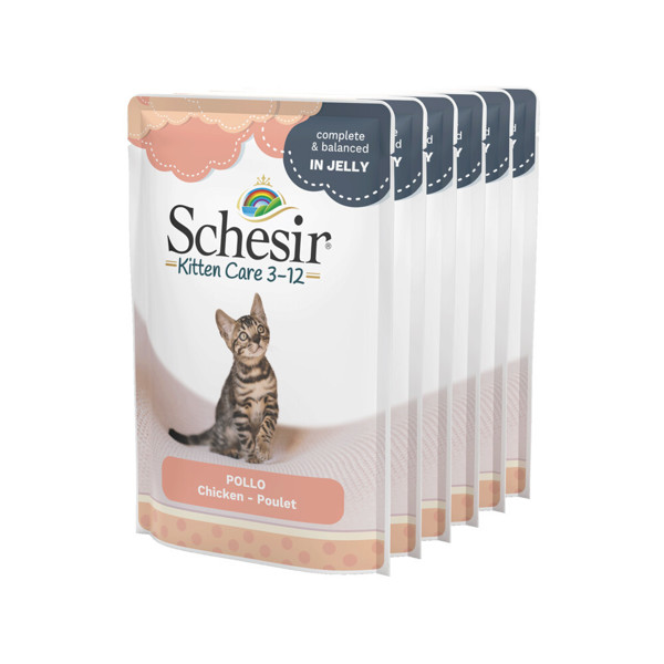 SCHESIR Kitten Wet Cat Chicken in Jelly skanėstai kačiukams su vištiena, 6x85g