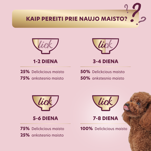  DELICKCIOUS konservuotas pašaras su kalakutiena ir sūriu suaugusiems šunims, 85 g
