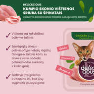 DELICKCIOUS konservuotas pašaras suaugusioms katėms -  sriuba su kumpiu ir vištiena, 80 g