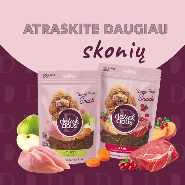 DELICKCIOUS ore džiovinti skanėstai su jautiena ir moliūgais suaugusiems šunims, 80 g