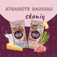 DELICKCIOUS kreminiai skanėstai su ėriena ir ryžiais suaugusioms katėms (4x15 g), 60 g