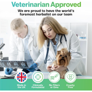 PROBIOPETS Brain Health probiotikai smegenų veiklai šunims, 100 g