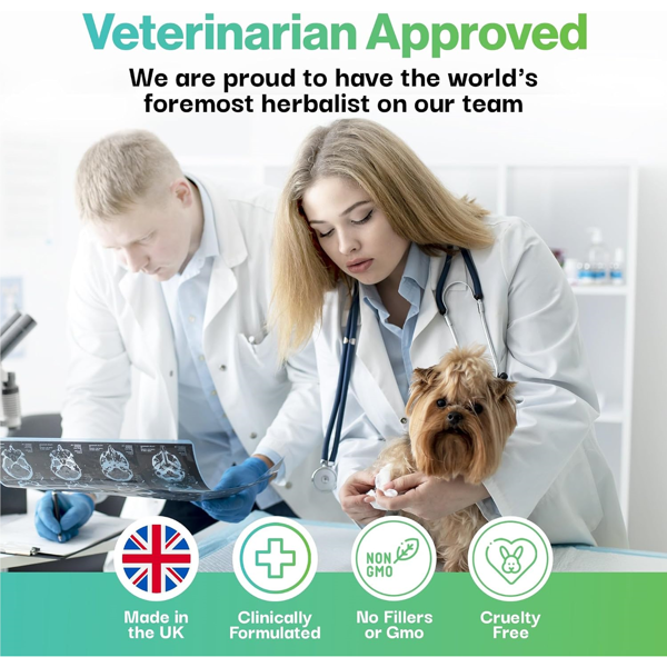 PROBIOPETS Brain Health probiotikai smegenų veiklai šunims, 100 g